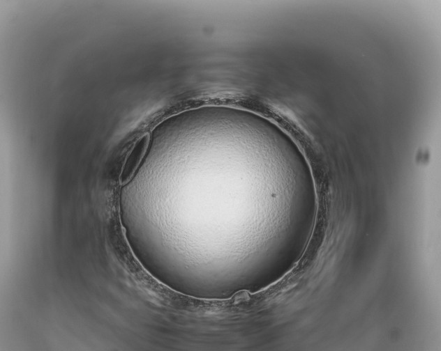 X0000089361399200706221150