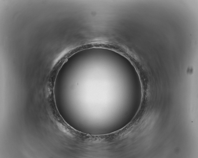 X0000089361400200706221150