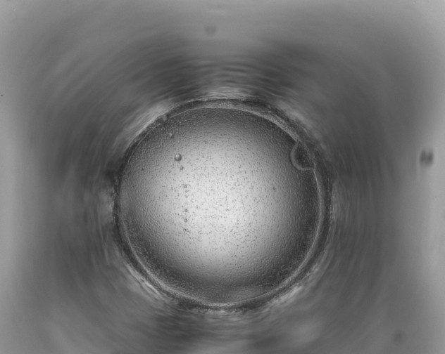 X0000089361401200706221150