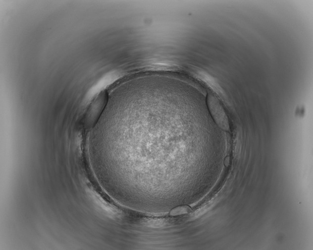 X0000089361402200706221150