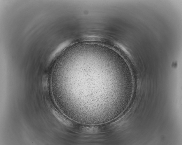 X0000089361403200706221150
