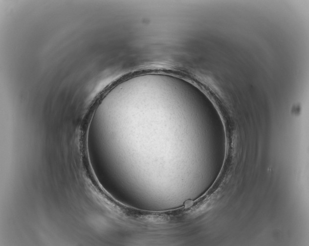 X0000089361404200706221150