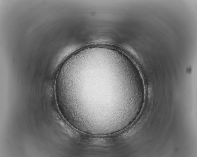 X0000089361405200706221150