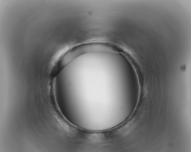 X0000089361406200706221150