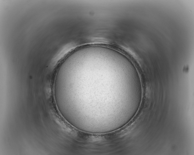 X0000089361407200706221150