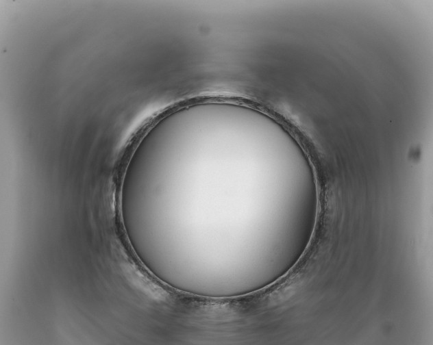 X0000089361408200706221150