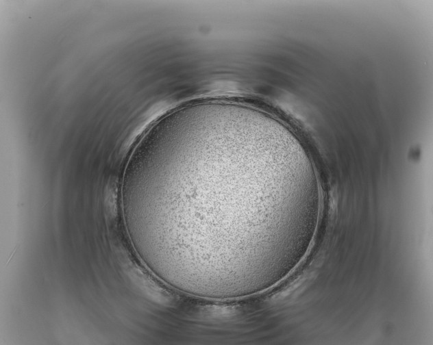 X0000089361409200706221150