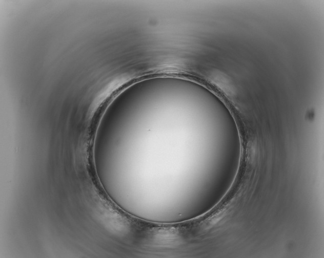 X0000089361410200706221150