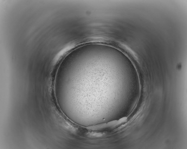 X0000089361411200706221150