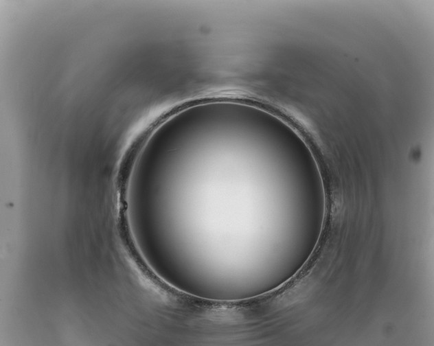 X0000089361414200706221150