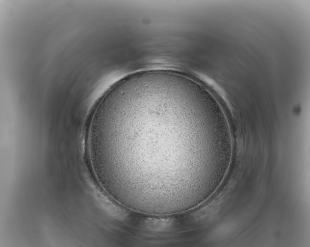 X0000089361415200706221150
