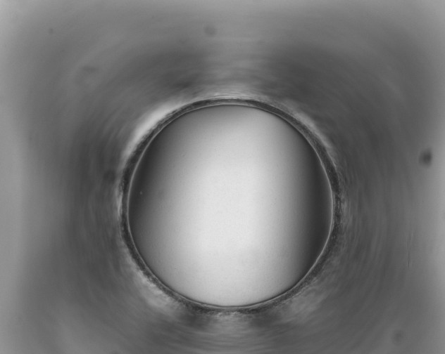 X0000089361416200706221150