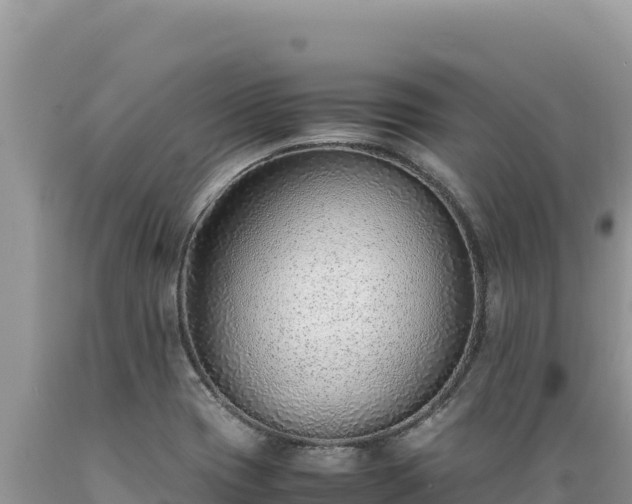 X0000089361417200706221150