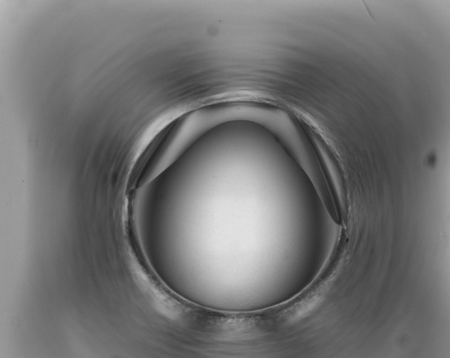 X0000089361418200706221150