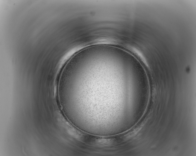 X0000089361419200706221150