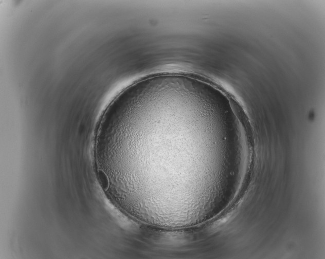 X0000089361421200706221150