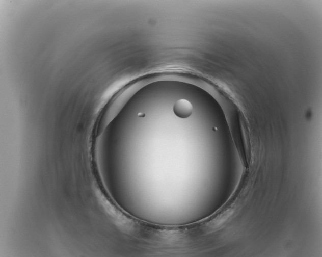 X0000089361422200706221150