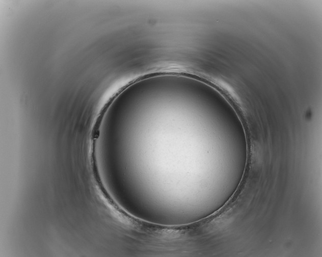 X0000089361424200706221150