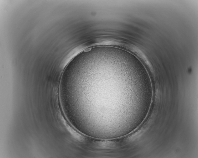 X0000089361425200706221150