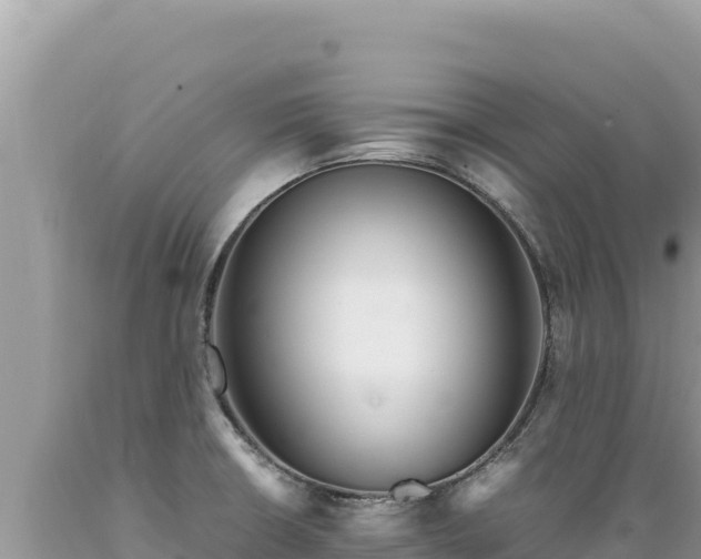 X0000089361426200706221150
