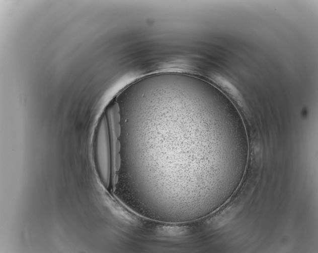 X0000089361427200706221150