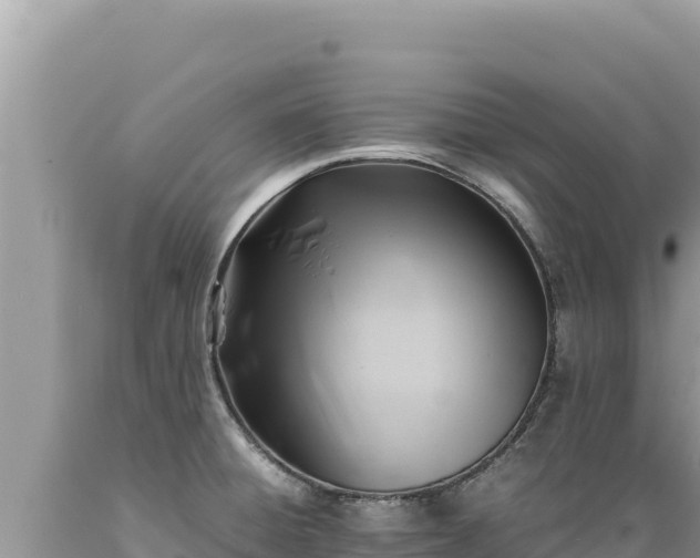 X0000089361428200706221150