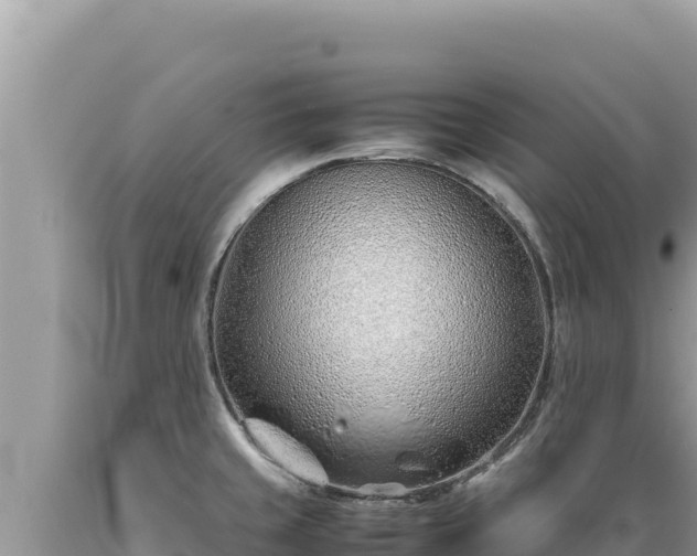 X0000089361429200706221150