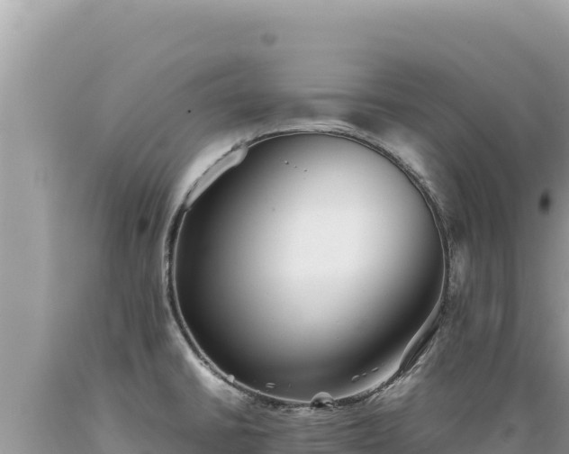 X0000089361430200706221150
