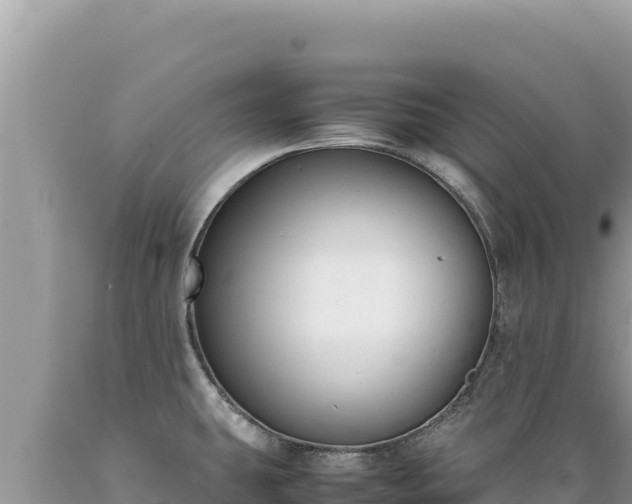 X0000089361431200706221150