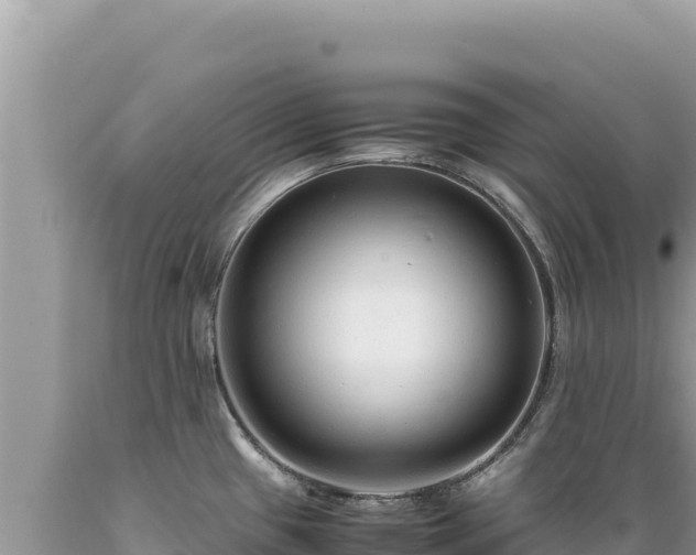 X0000089361433200706221150