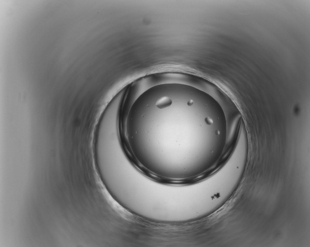 X0000089361438200706221150