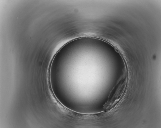 X0000089361440200706221150
