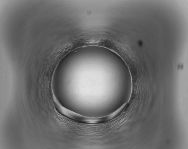 X0000089361441200706221150