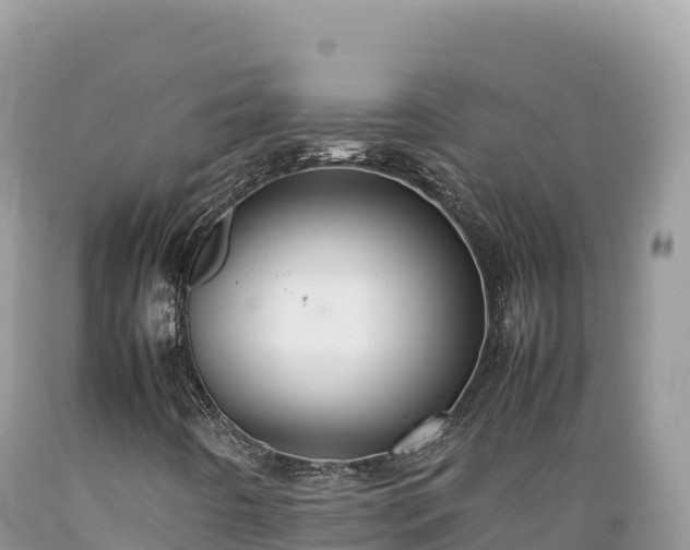 X0000089361442200706221150