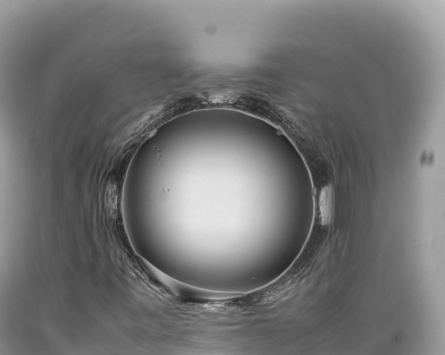 X0000089361443200706221150