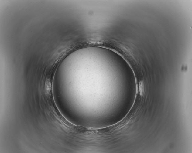 X0000089361444200706221150