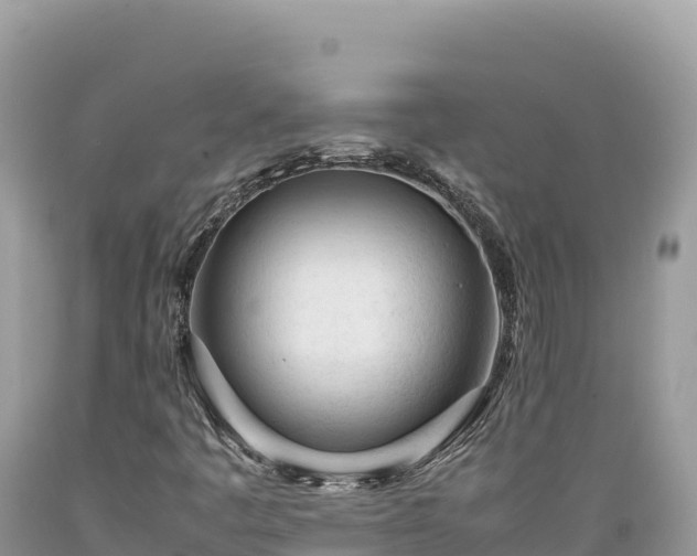 X0000089361445200706221150