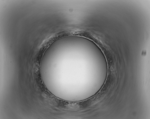 X0000089361447200706221150