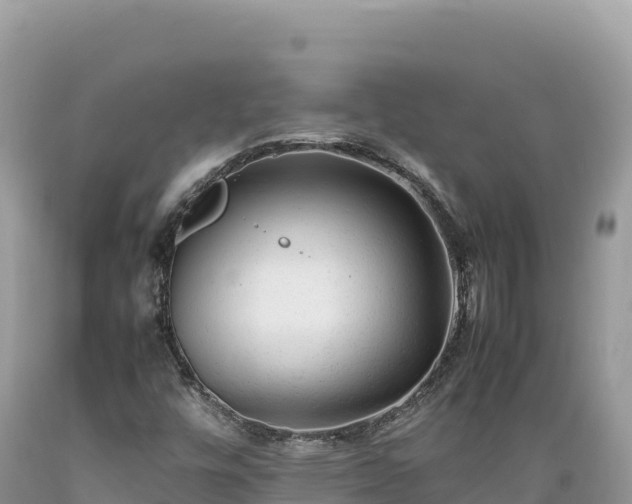 X0000089361448200706221149
