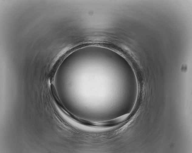 X0000089361449200706221149