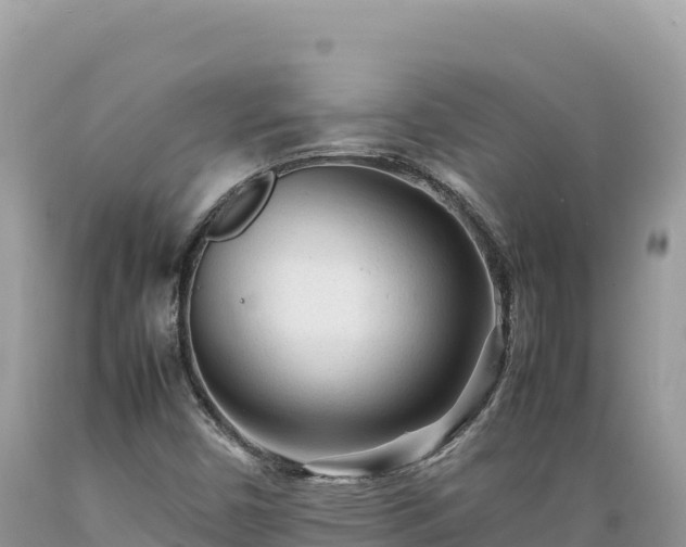 X0000089361450200706221149