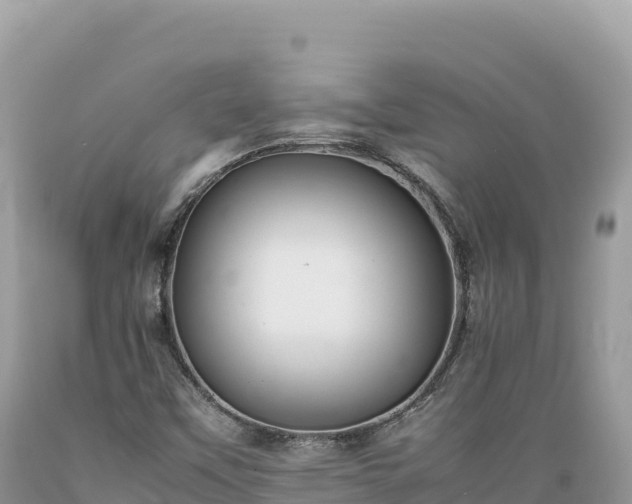 X0000089361451200706221149