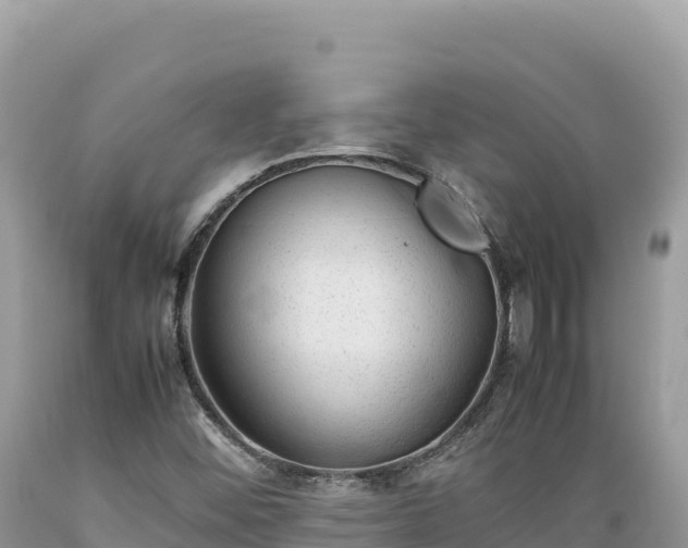 X0000089361452200706221149