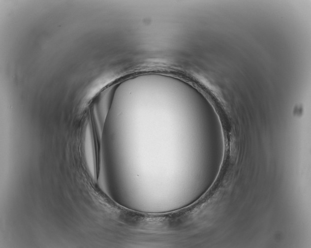 X0000089361453200706221149