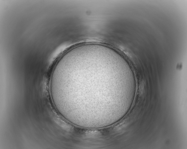 X0000089361454200706221149