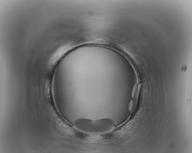 X0000089361455200706221149