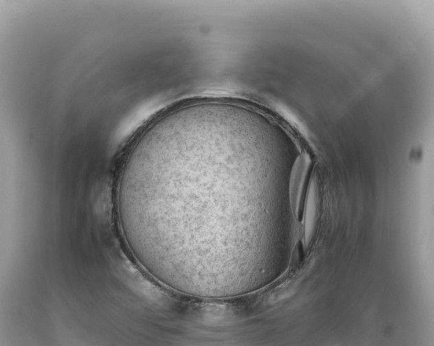 X0000089361456200706221149