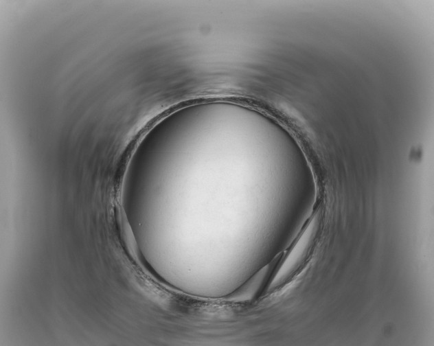 X0000089361457200706221149