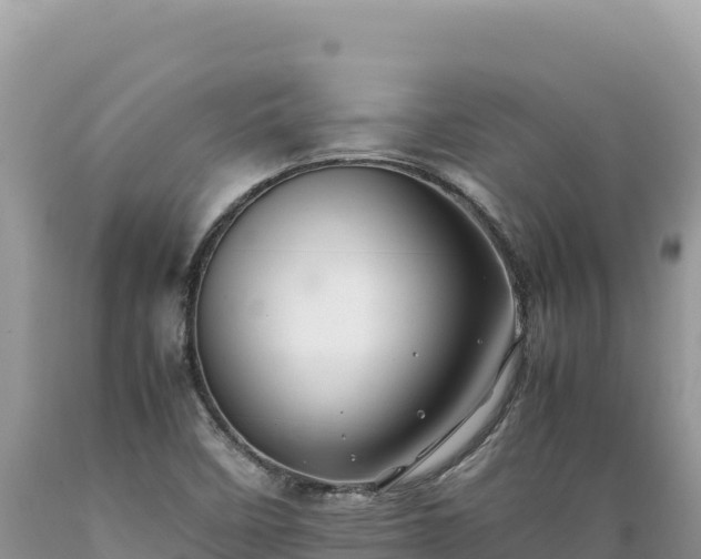 X0000089361458200706221149