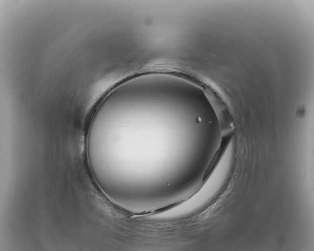 X0000089361461200706221149